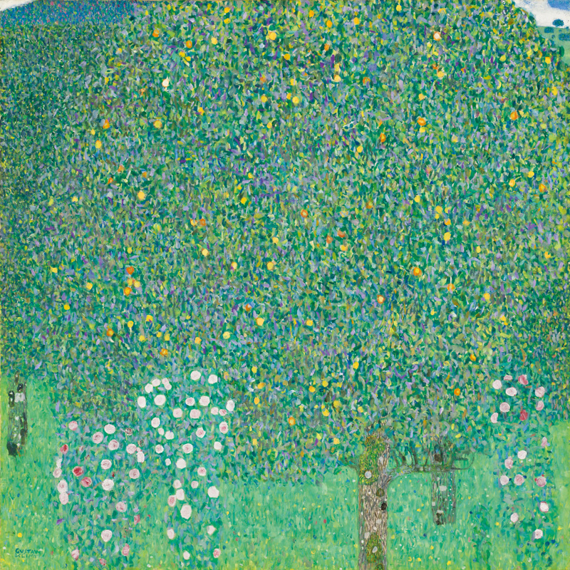 Gustav Klimt, Rosiers sous les arbres, restitution
